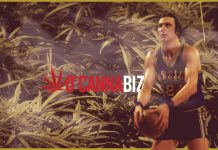 Cannabiz Business