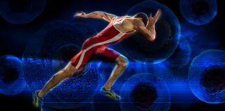 Stem Cell Therapy