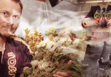 Ross Rebagliati on Legalization, Jeff Sessions and Cannabis as a PED